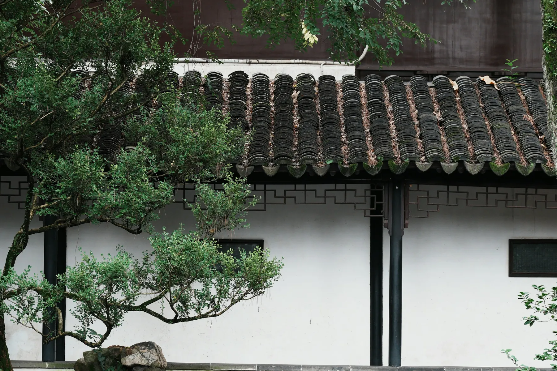 Tiled roofs and white walls framed by trees in a Suzhou garden
